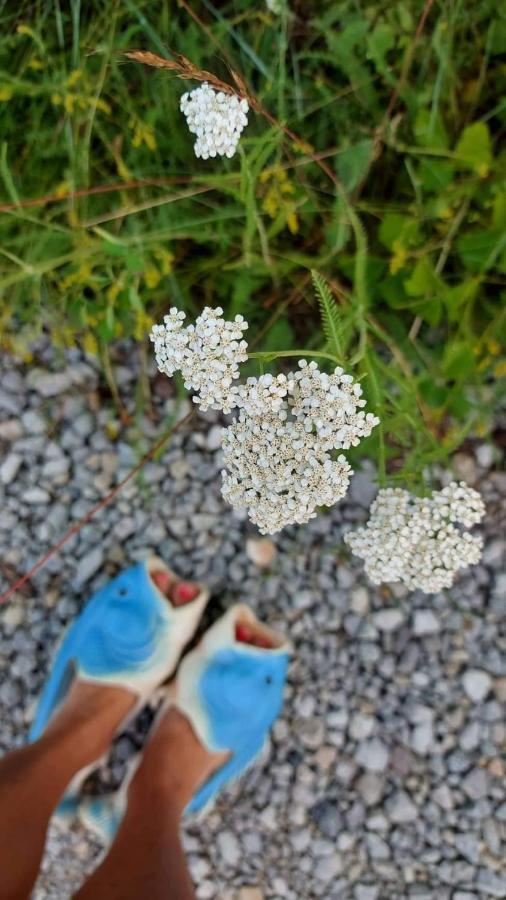 Отель Intsu Suvemaja Liiva  Экстерьер фото